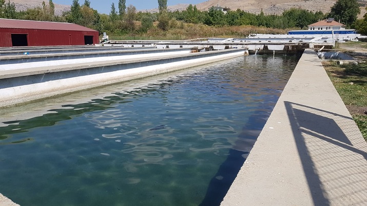 Balık Yetiştiriciliğinde Çıta Yükseliyor Sürgü Takas Suyu üzerindeki