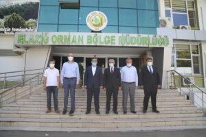 O Alanlar Ağaçlandırılacak!
