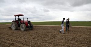 Hazineye Ait Tarım Arazileri Kiraya Verilecek