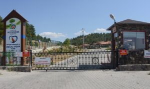 Büyükşehirden Sokak Hayvanlarına Yardım Eli Büyükşehirden Sokak Hayvanlarına Yardım Eli