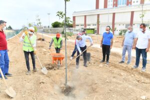 Çınar Şehir Parkındaki Çalışmaları İnceledi