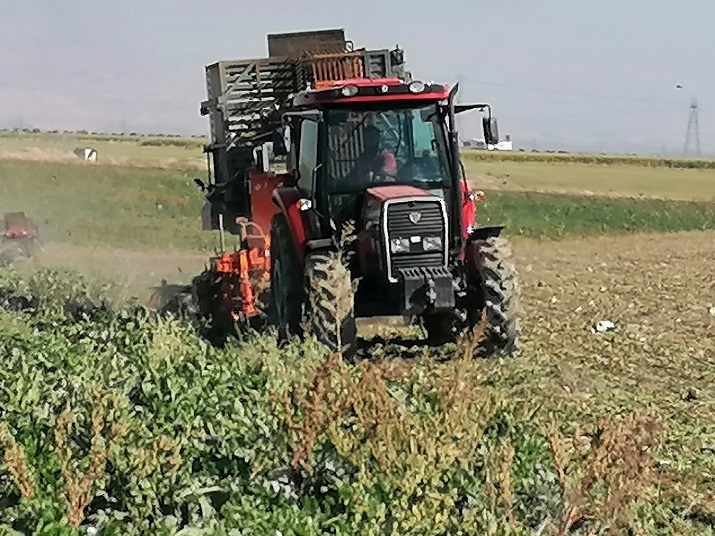 Kıraç Topraklardan Bereket Fışkırıyor Sulu tarım sayesinde Yazıhan