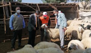 İlk Küpe İle Proje Başlatıldı