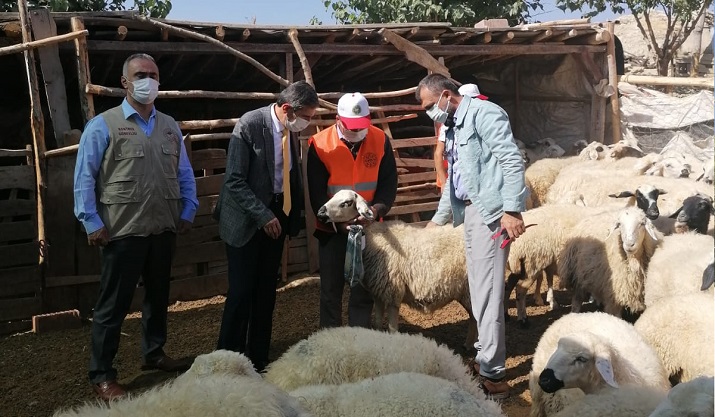 İlk Küpe İle Proje Başlatıldı Malatya Koyun Keçi Yetiştiricileri