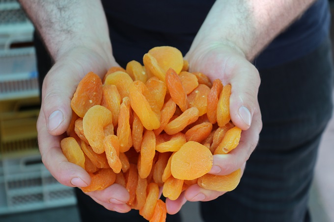 Yurt dışından kaçak yollardan kayısı