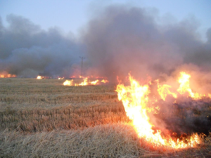 Çiftçilere Anız Yangını Uyarısı