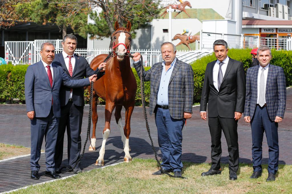 Sultansuyu Tayları 2 Milyon TL’ye Satıldı Sultansuyu Tarım İşletmesi’nde yetiştirilen