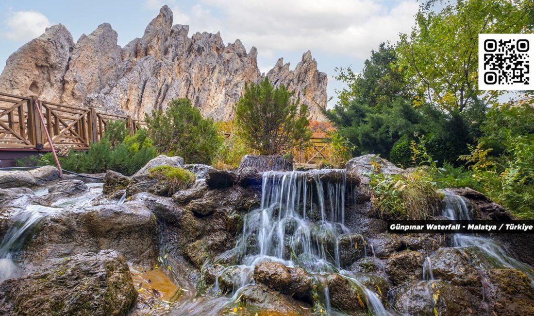 AK Parti Malatya Milletvekili