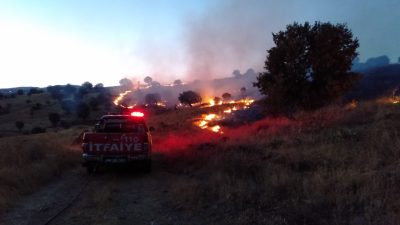 Yaz aylarına girdiğimiz şu günlerde