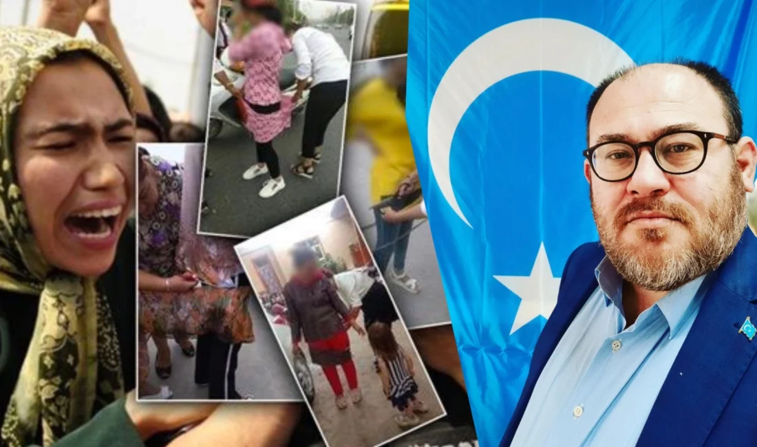  Tarihçi...