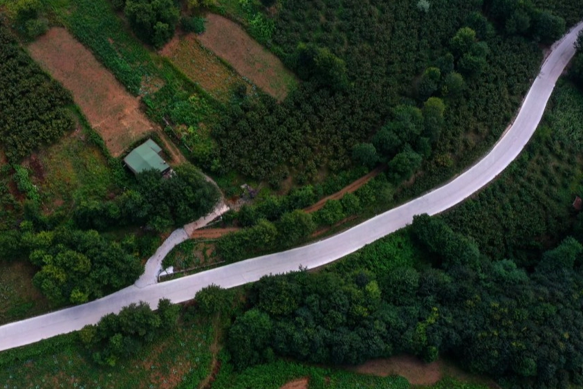  Ordu Büyükşehir Belediyesi,
