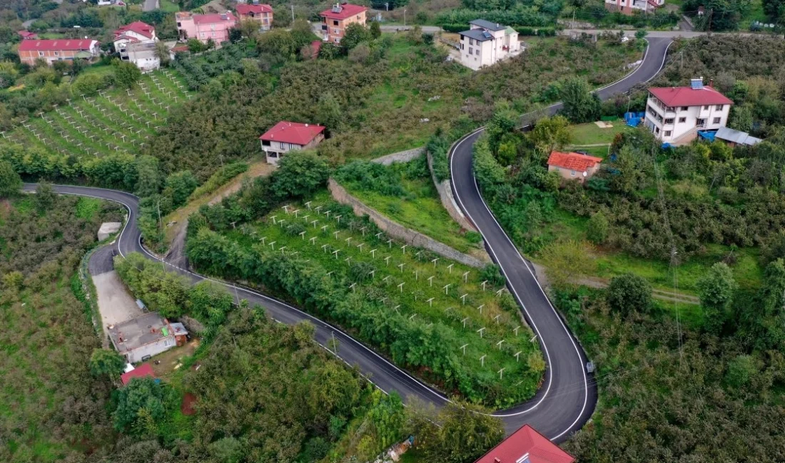  Ordu Büyükşehir Belediyesi,