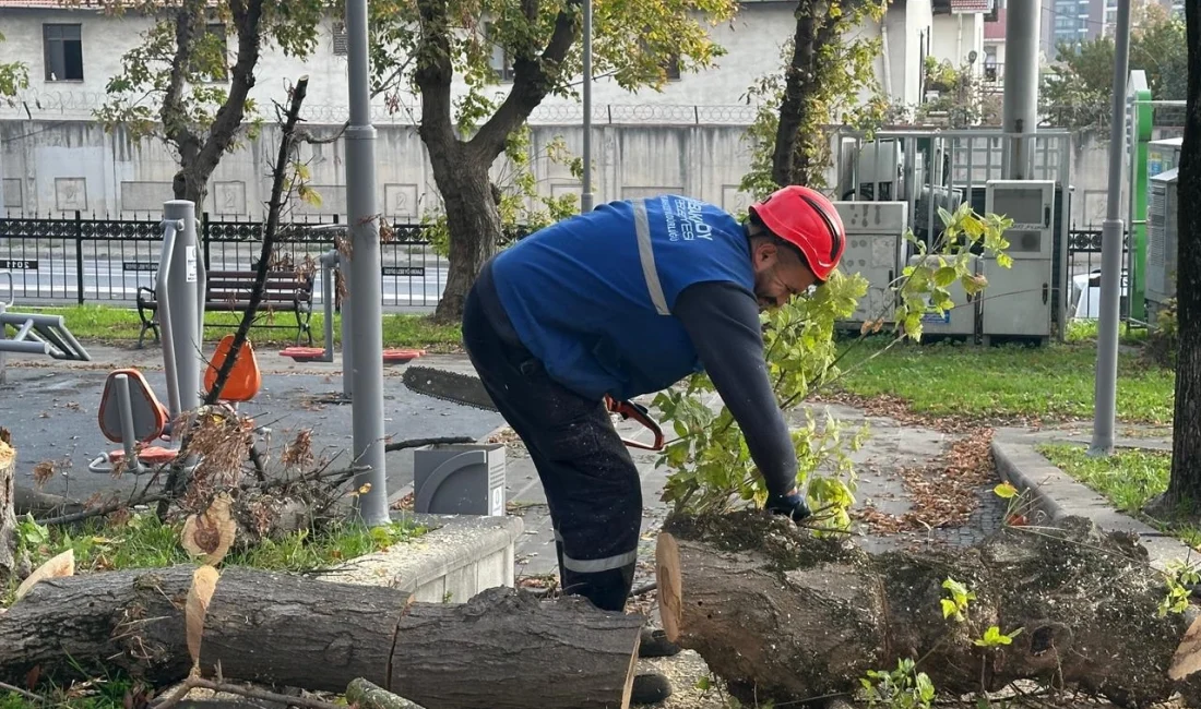  İstanbul Bakırköy Belediyesi,