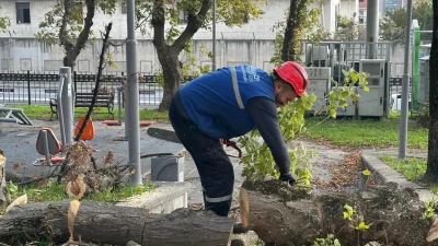  İstanbul Bakırköy Belediyesi, bitki