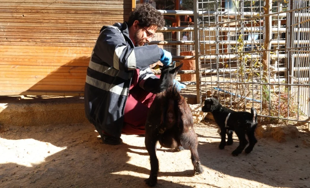  Antalya’da son günlerde