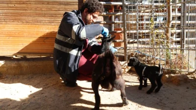  Antalya’da son günlerde etkili