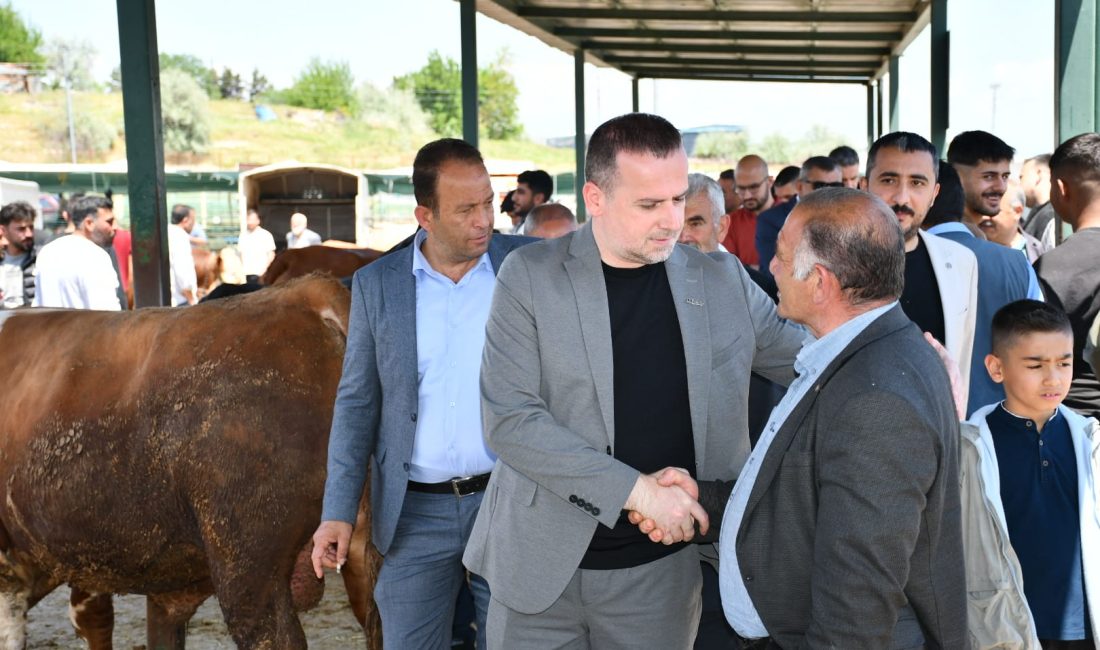 MAGİNDER Başkanı Salih Karademir, Kurban